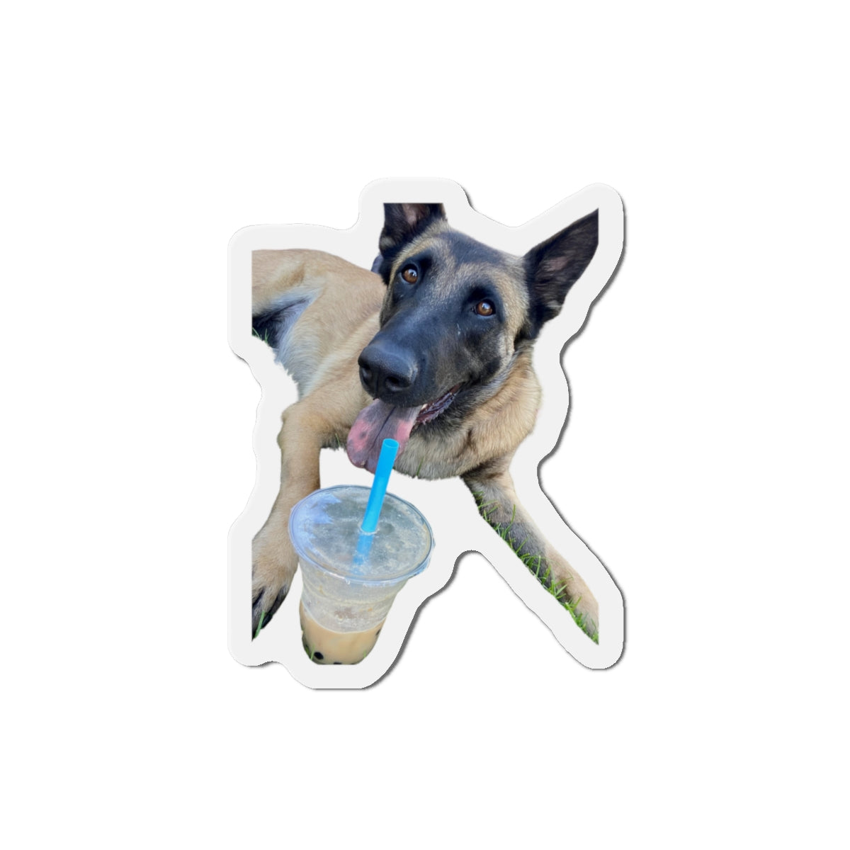 Playful Dog Die-Cut Magnet - Perfect for Pet Lovers!