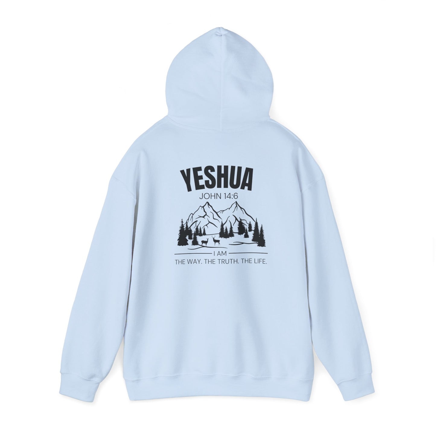 Inspirational Yeshua Unisex Heavy Blend™ Hoodie - John 14:6