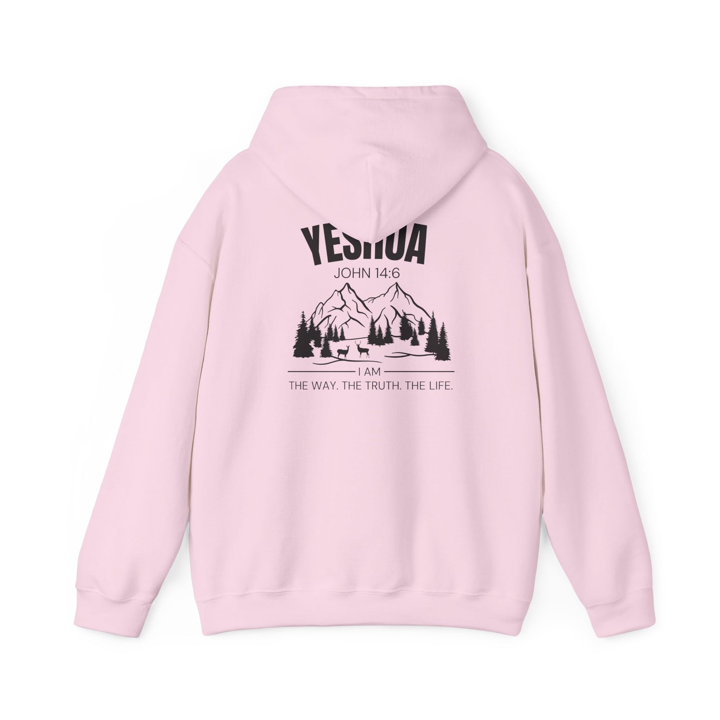 Inspirational Yeshua Unisex Heavy Blend™ Hoodie - John 14:6