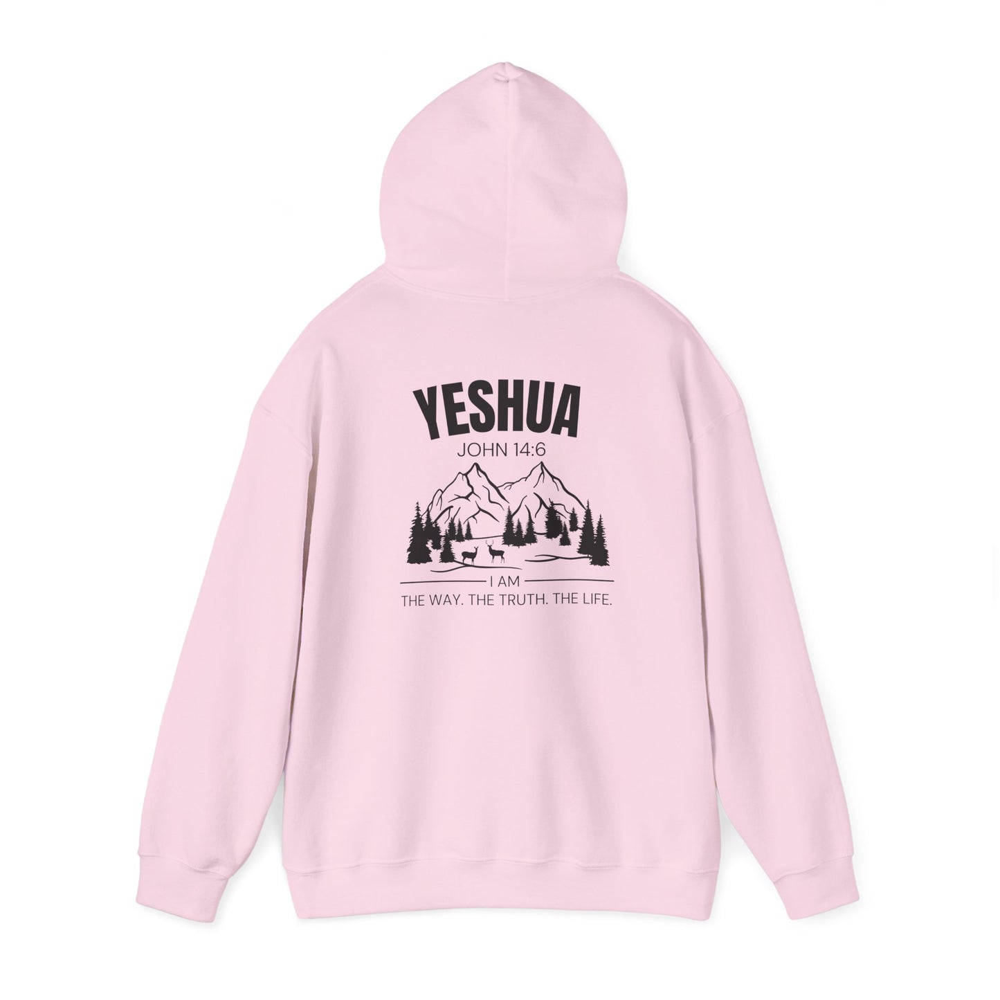 Inspirational Yeshua Unisex Heavy Blend™ Hoodie - John 14:6