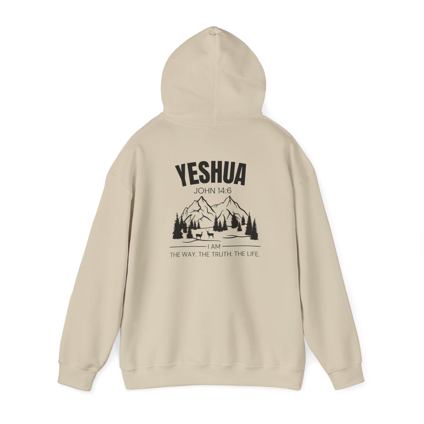 Inspirational Yeshua Unisex Heavy Blend™ Hoodie - John 14:6