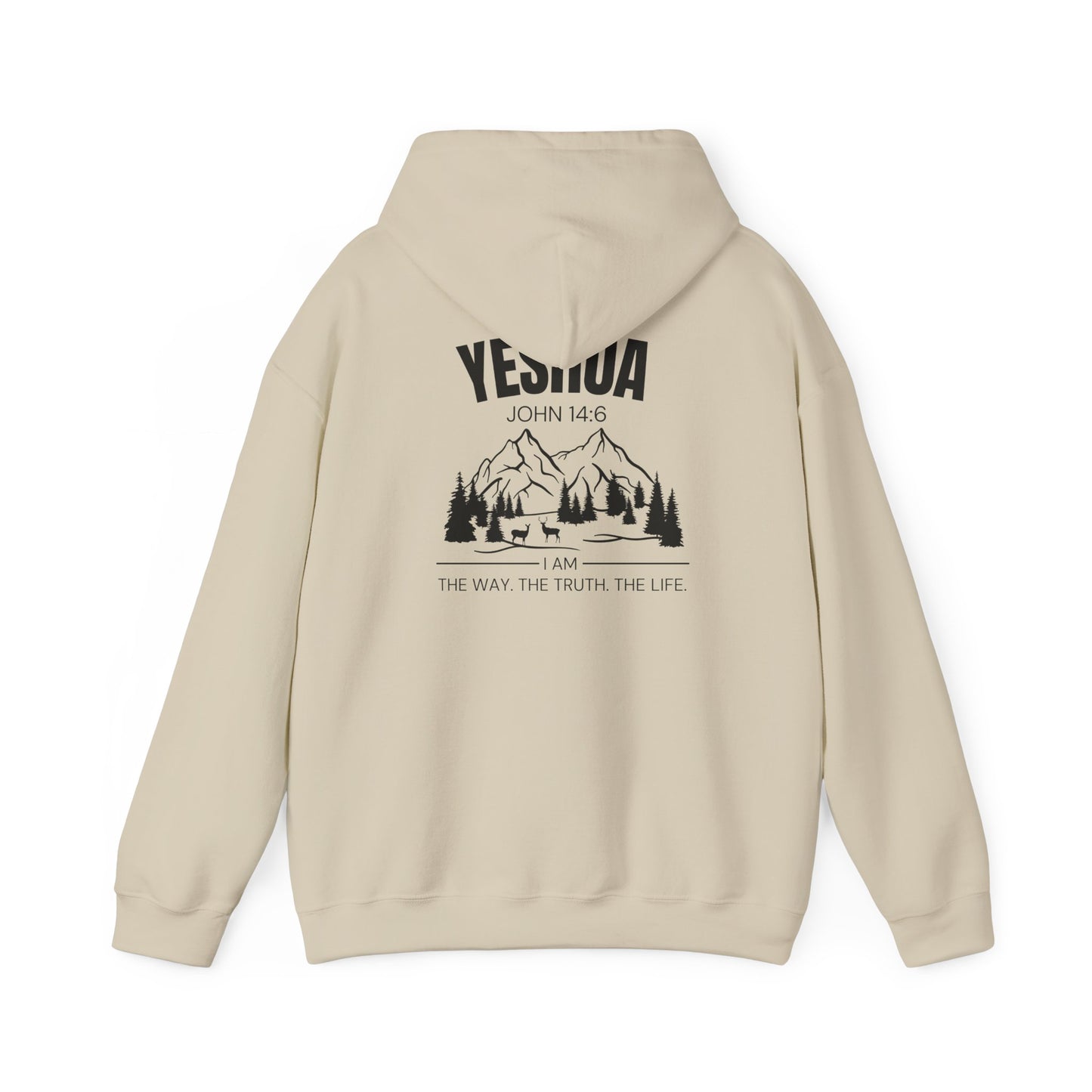 Inspirational Yeshua Unisex Heavy Blend™ Hoodie - John 14:6