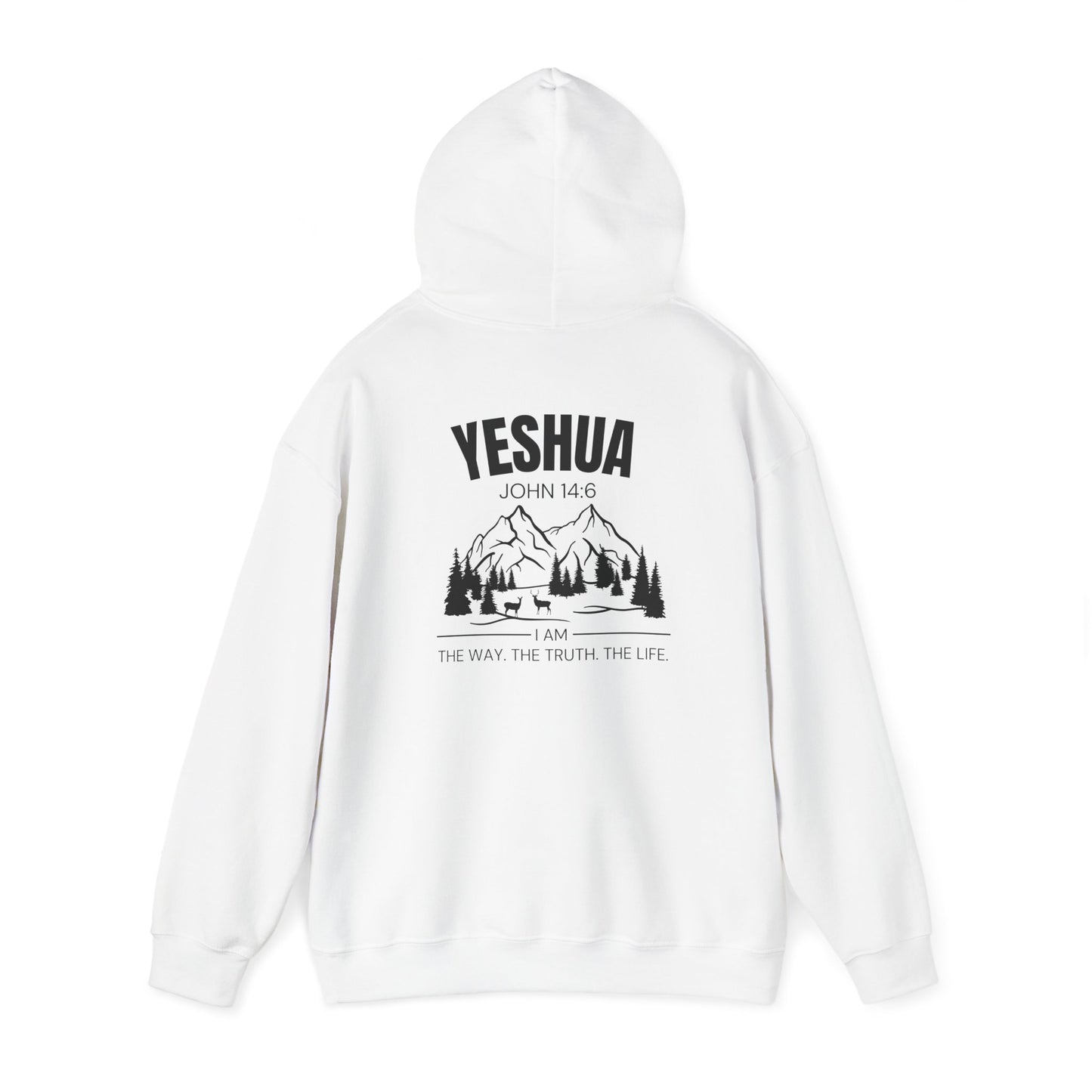 Inspirational Yeshua Unisex Heavy Blend™ Hoodie - John 14:6